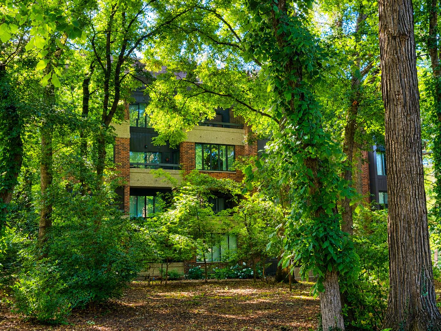 1401 Burr Oak RD #303B, Hinsdale, IL 60521