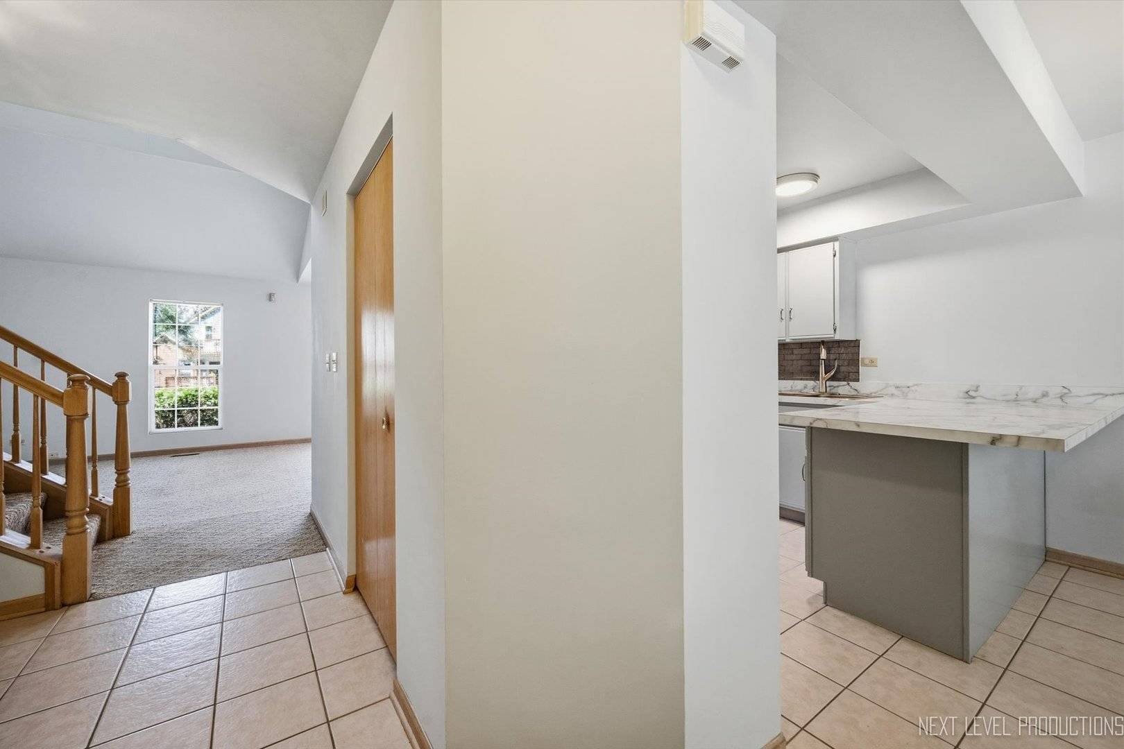 37 Ione DR #B, South Elgin, IL 60177