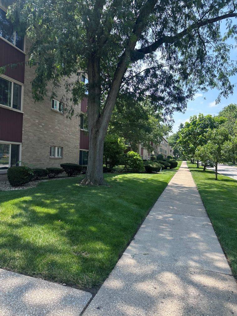 2612 Central DR #1N, Flossmoor, IL 60422