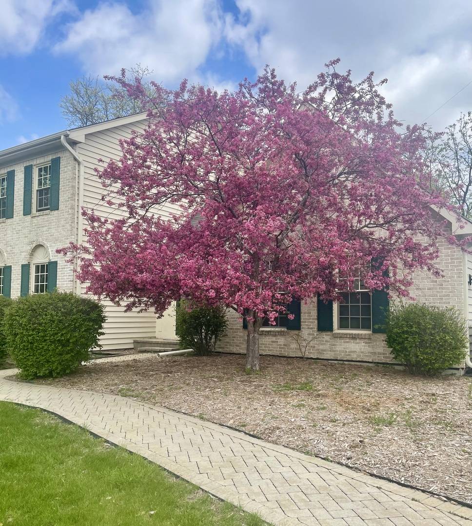 8S765 Singletree LN, Naperville, IL 60565