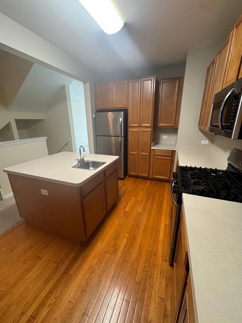 707 N Telluride CT, Vernon Hills, IL 60061