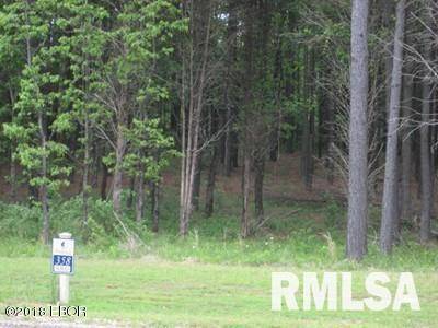 Lot 358 Parrish Ridge LN, Goreville, IL 62939