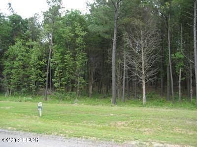 Lot 358 Parrish Ridge LN, Goreville, IL 62939