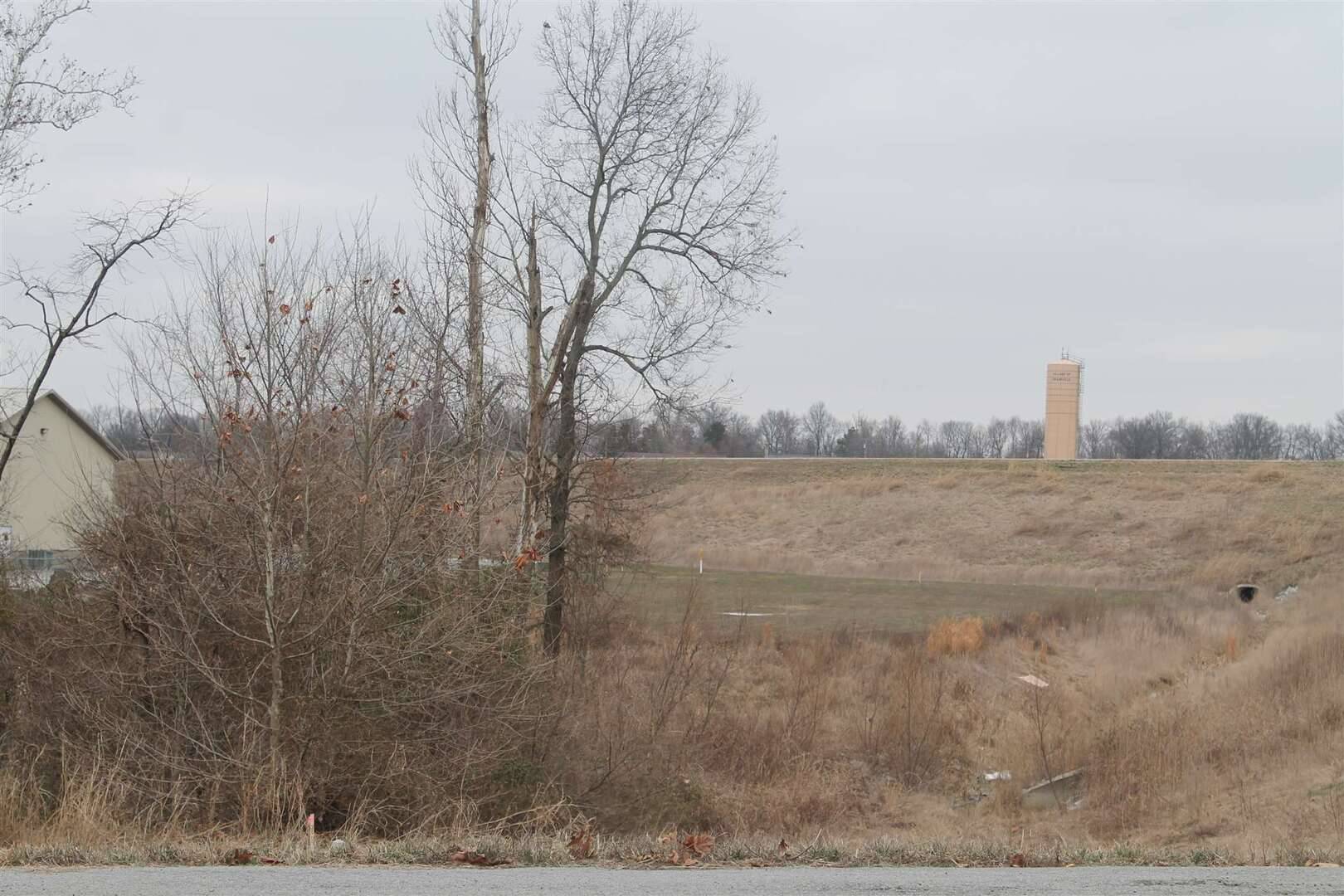 0006 DONNA DR, IL 62918