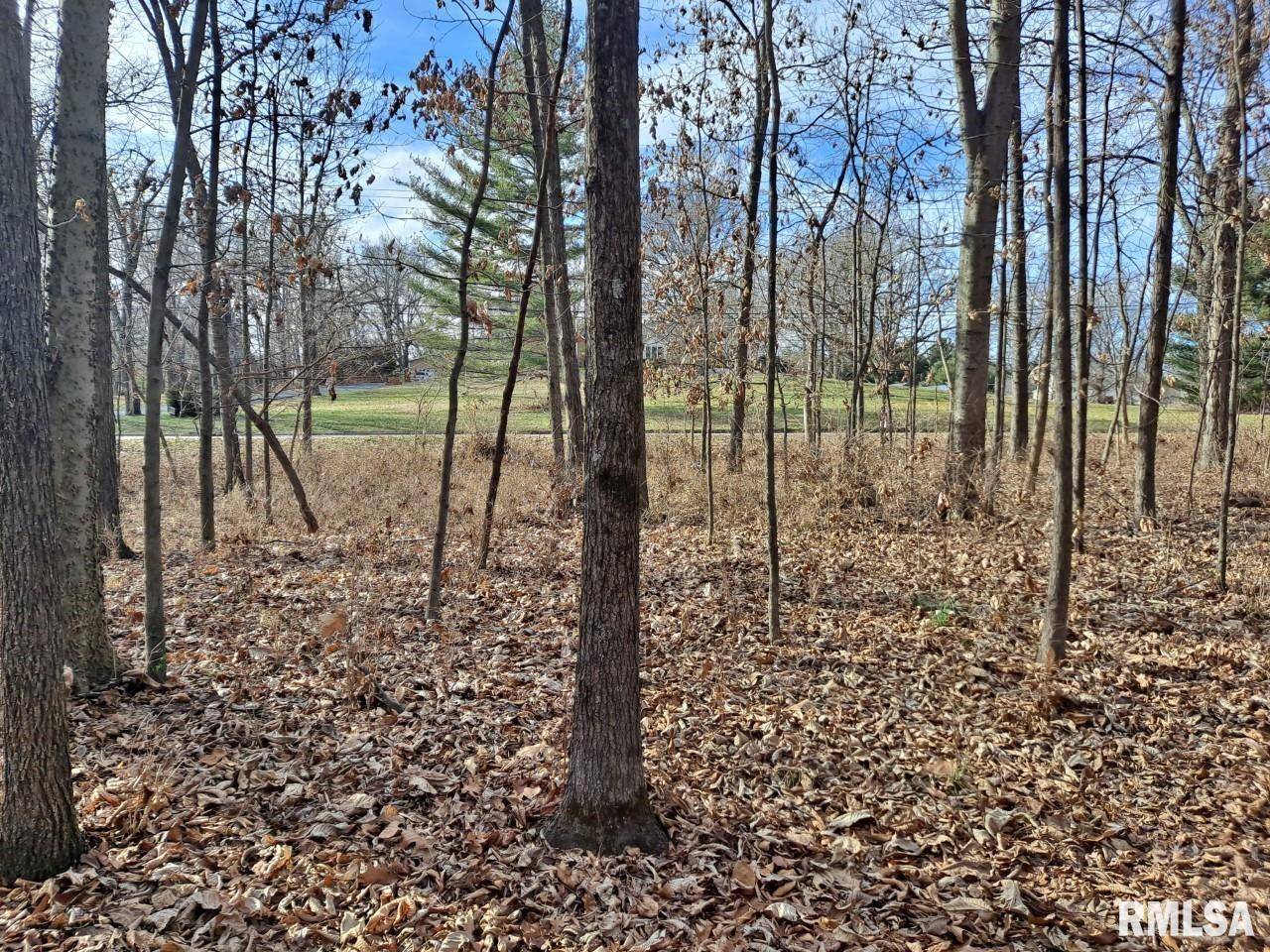 Lot 1 N 27TH ST, Mt Vernon, IL 62864