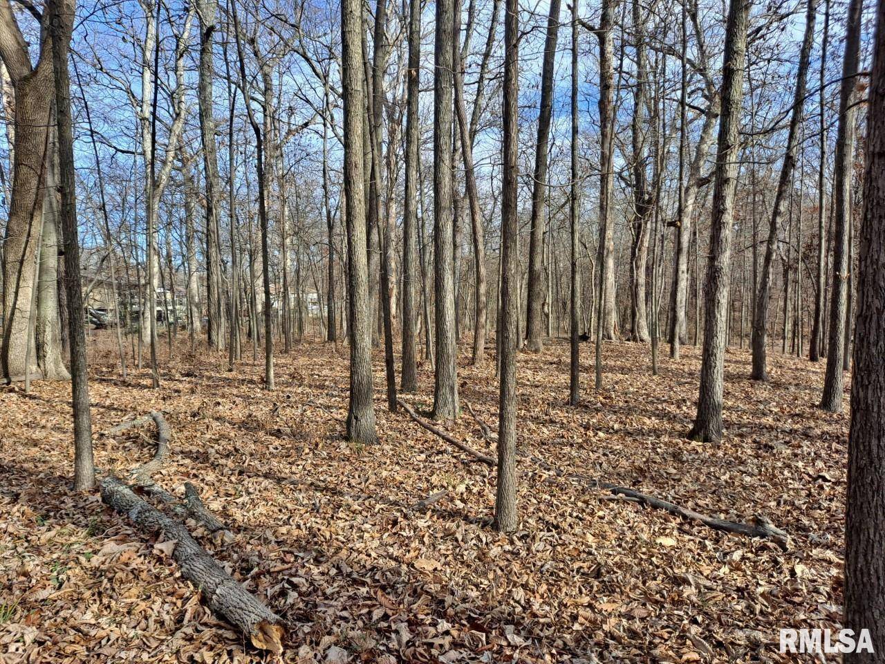 Lot 1 N 27TH ST, Mt Vernon, IL 62864