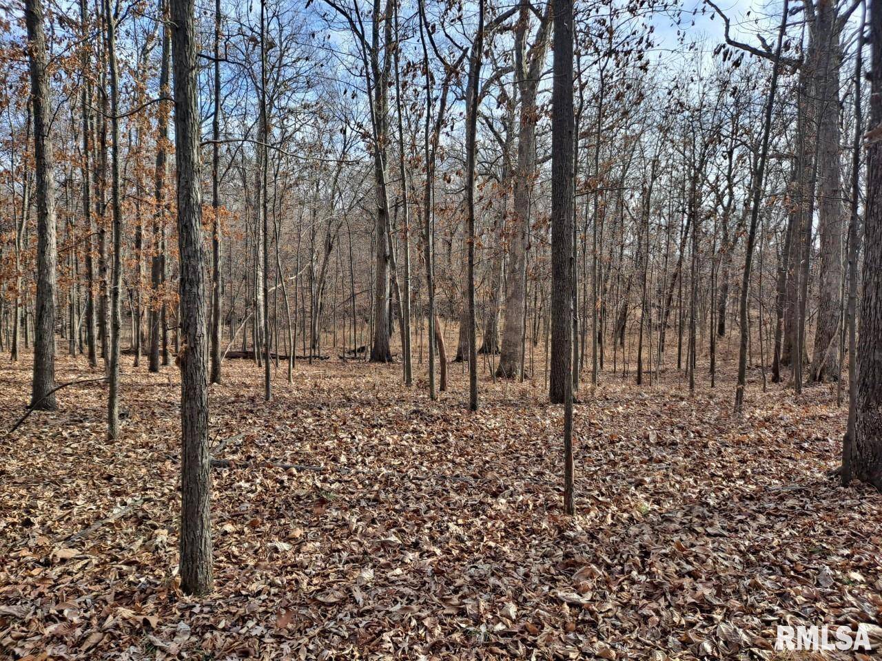 Lot 2 N 27TH ST, Mt Vernon, IL 62864