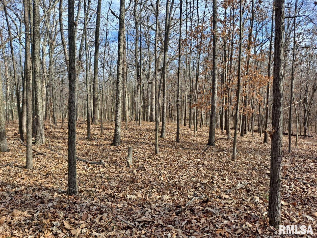 Lot 2 N 27TH ST, Mt Vernon, IL 62864
