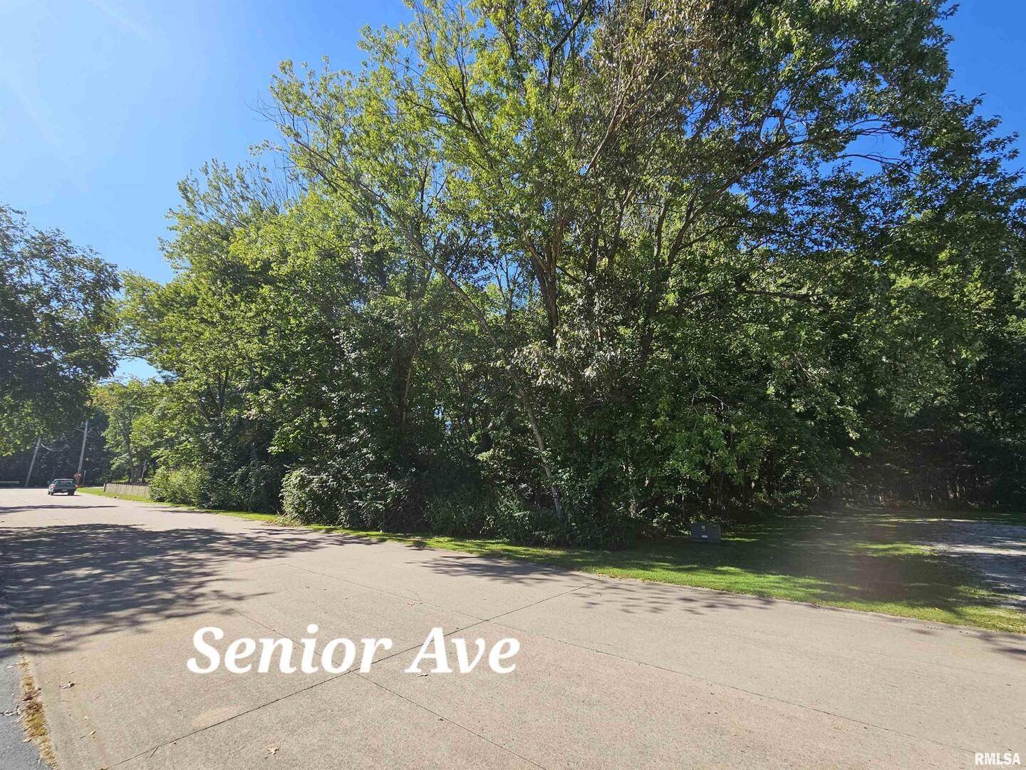TBD Senior AVE, Vienna, IL 62995