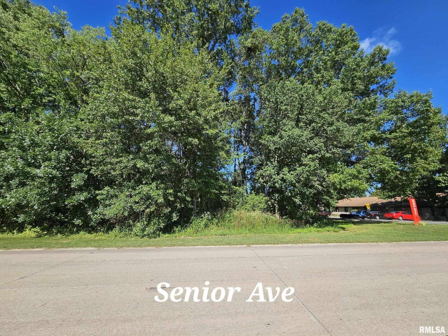 TBD Galeener ST, Vienna, IL 62995