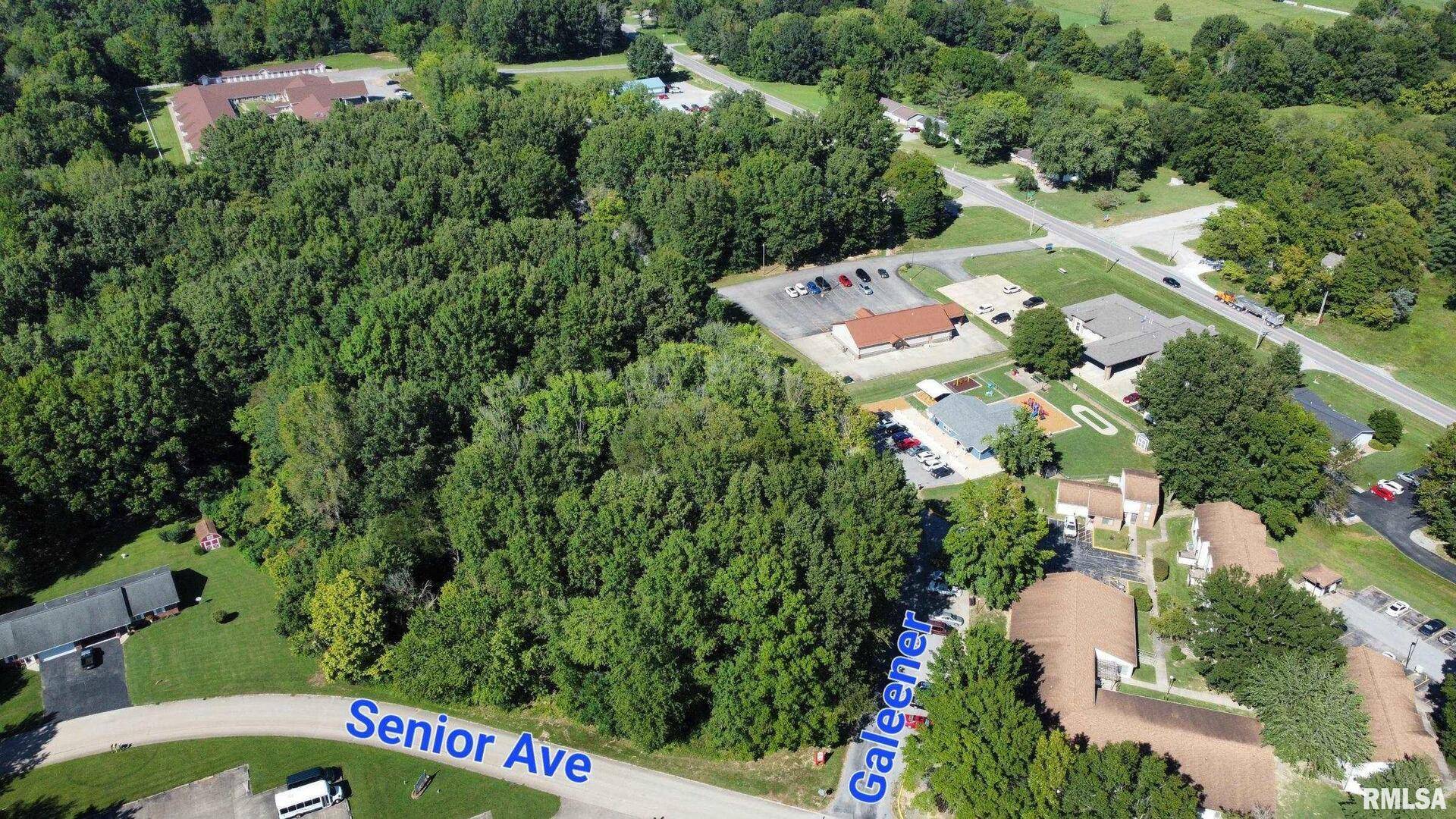 TBD Galeener ST, Vienna, IL 62995