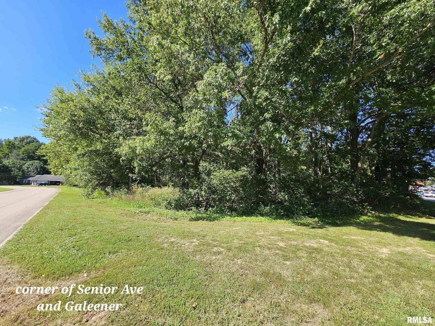 TBD Galeener ST, Vienna, IL 62995