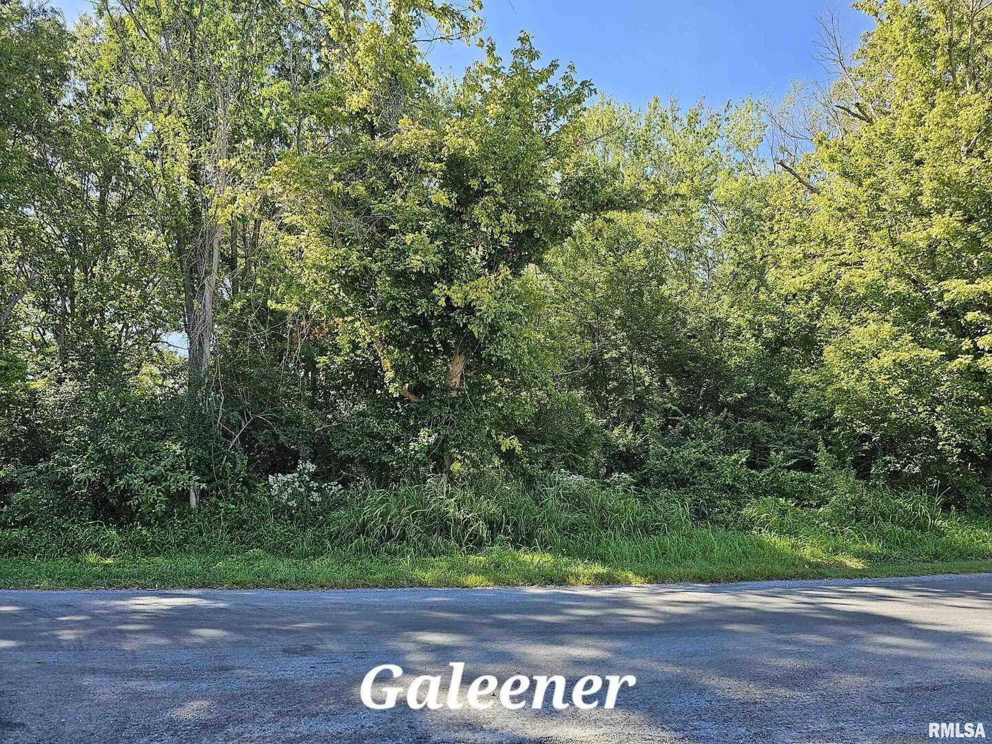 TBD Galeener ST, Vienna, IL 62995
