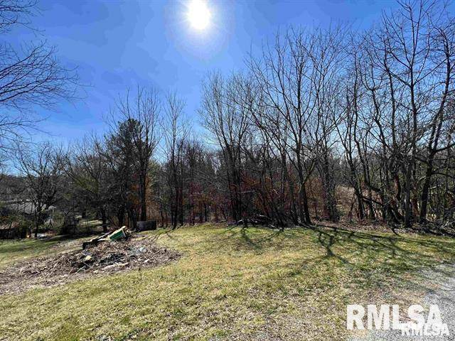 001 Main ST, Dongola, IL 62926