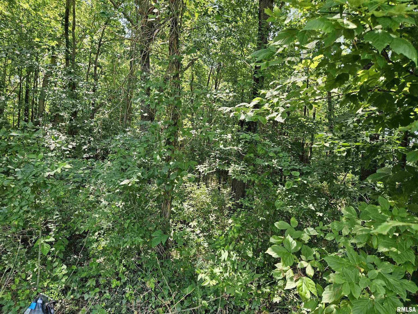 000 S 51 RD S, Pulaski, IL 62976
