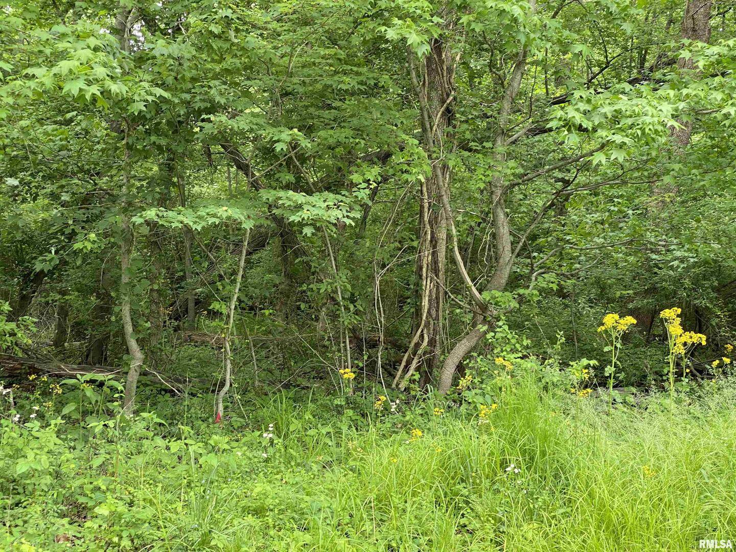 Lot 4 Choctaw DR, Carbondale, IL 62901