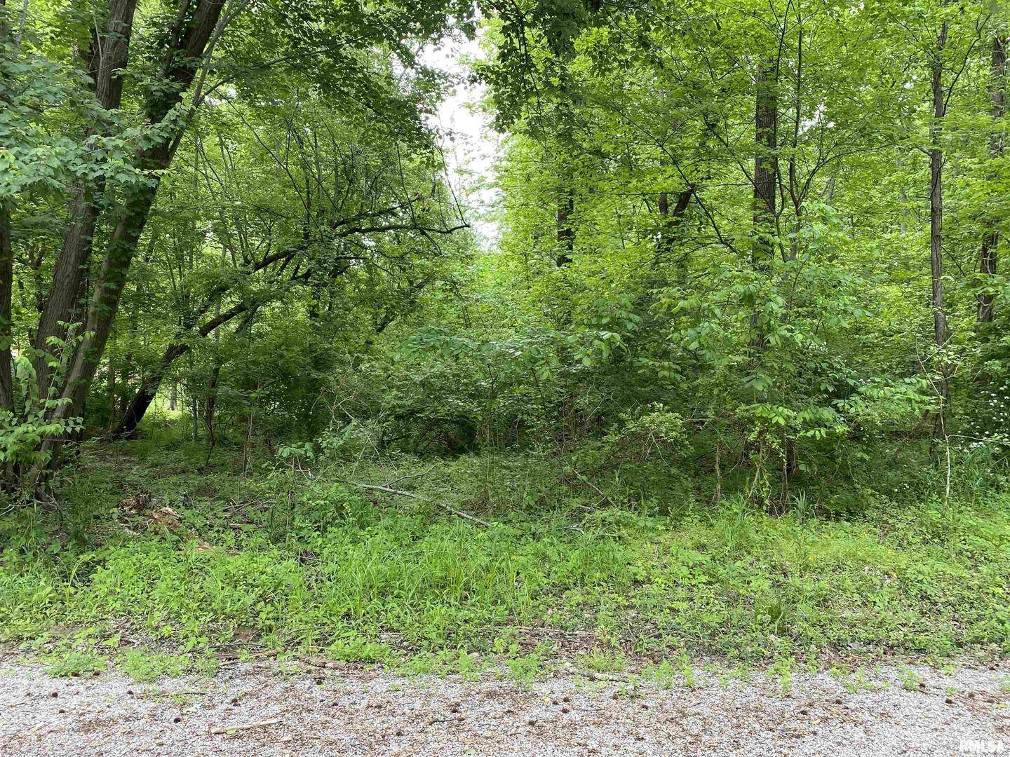 Lot 4 Choctaw DR, Carbondale, IL 62901
