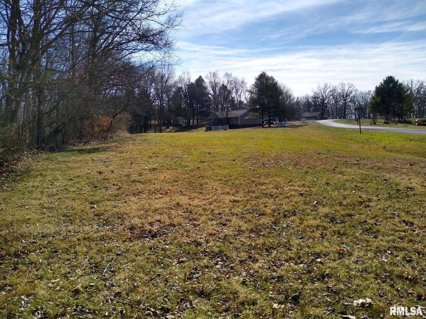 400 WALKER DR, Vienna, IL 62995