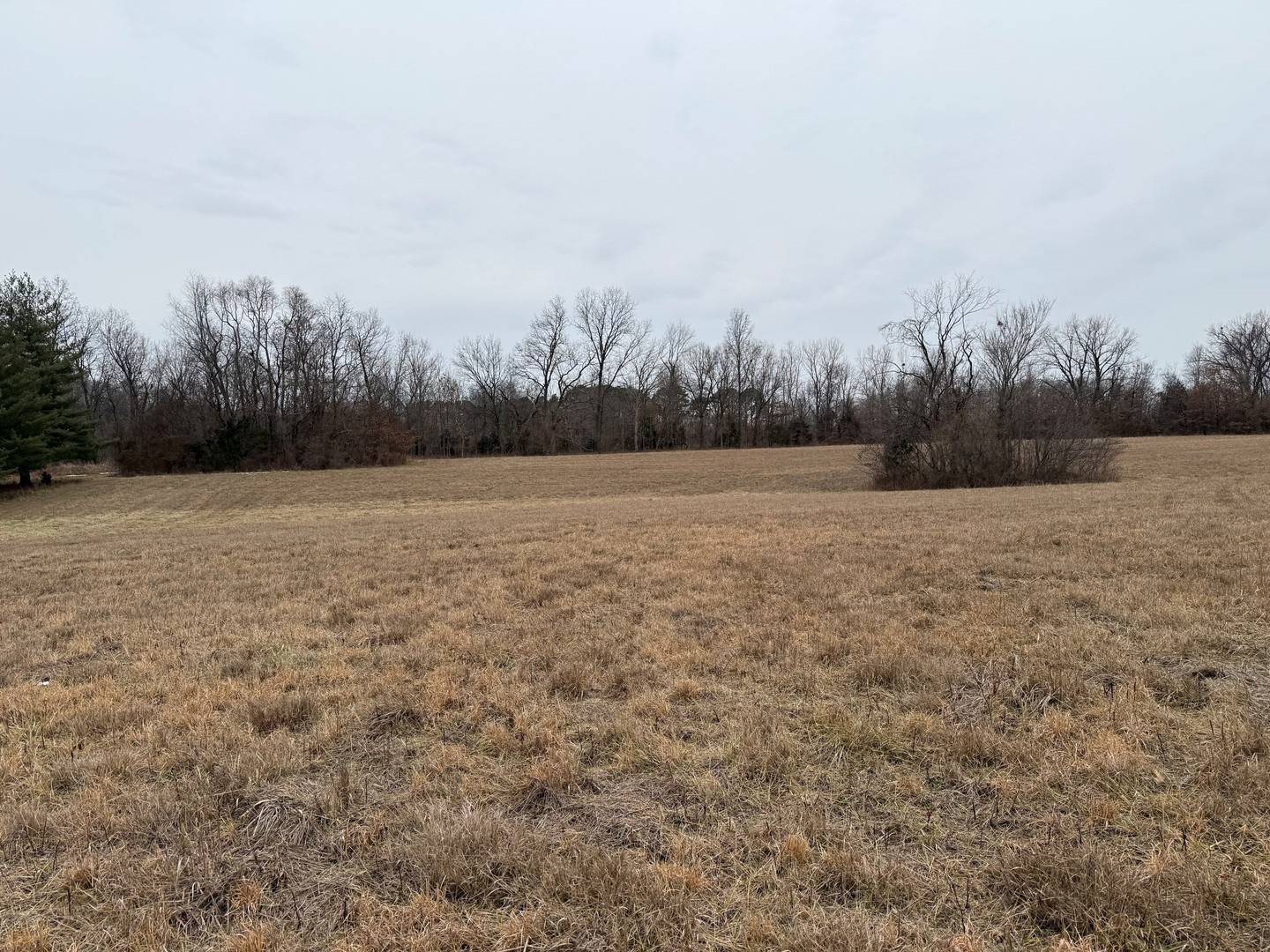 2019 W MAIN ST, Salem, IL 62881