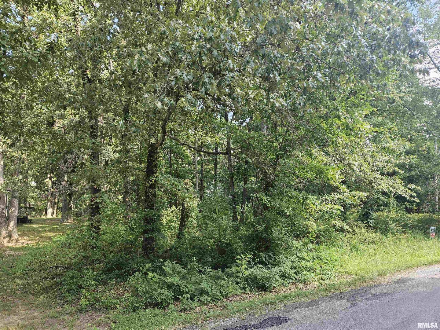 0000 White Birch CT, Benton, IL 62812