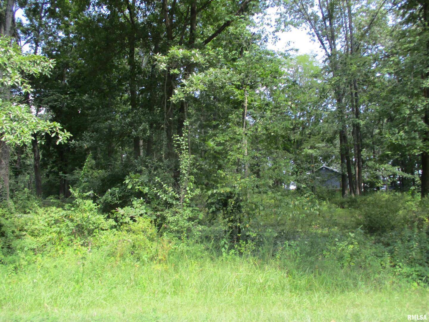 0000 White Birch CT, Benton, IL 62812