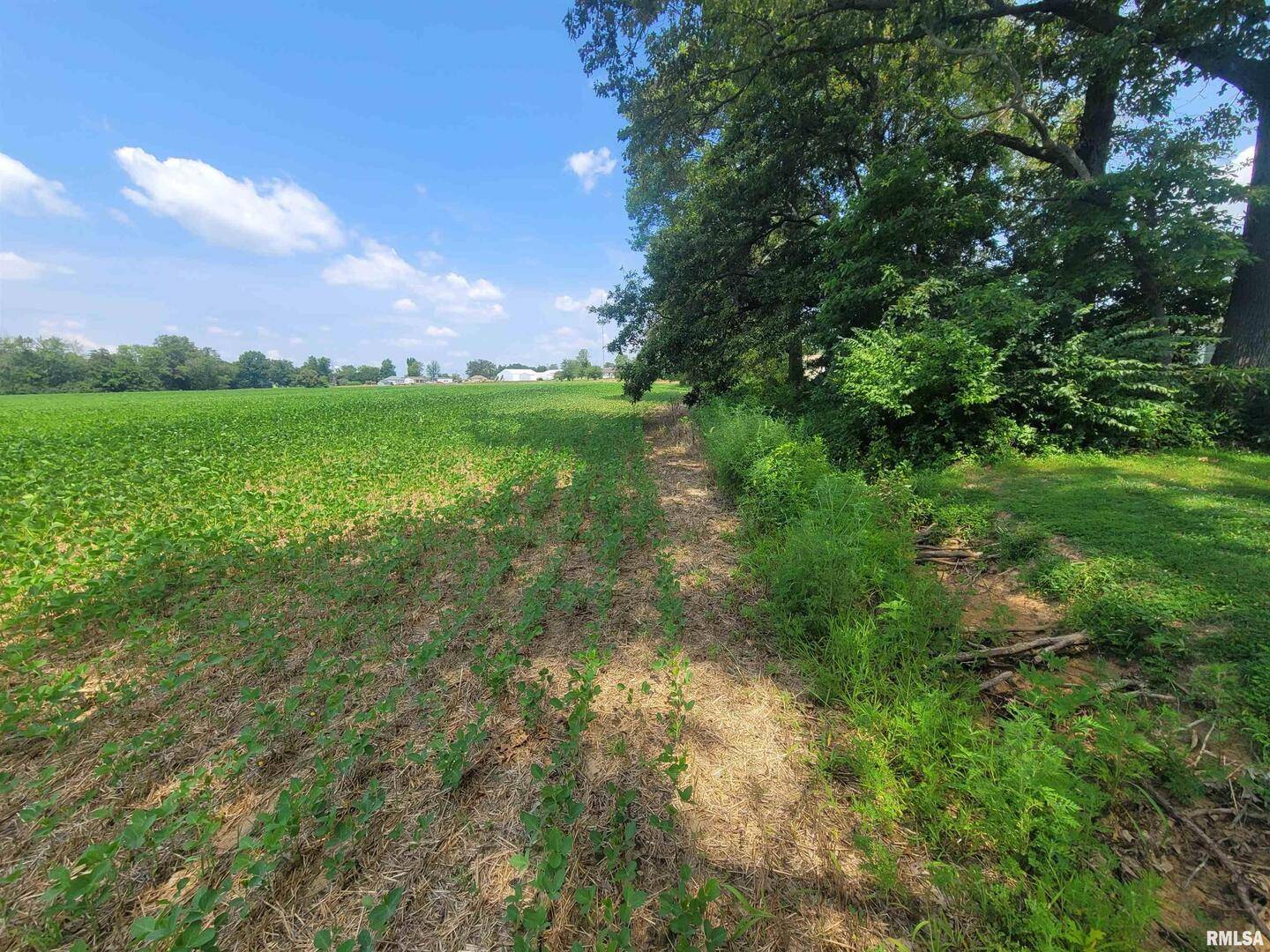 000 JACOB ST, Dahlgren, IL 62828