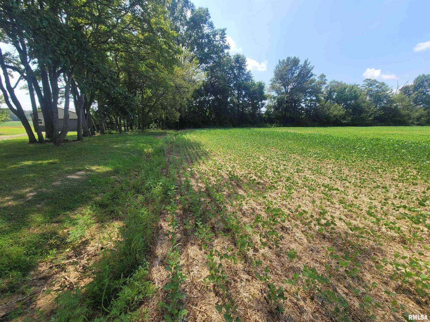 000 JACOB ST, Dahlgren, IL 62828