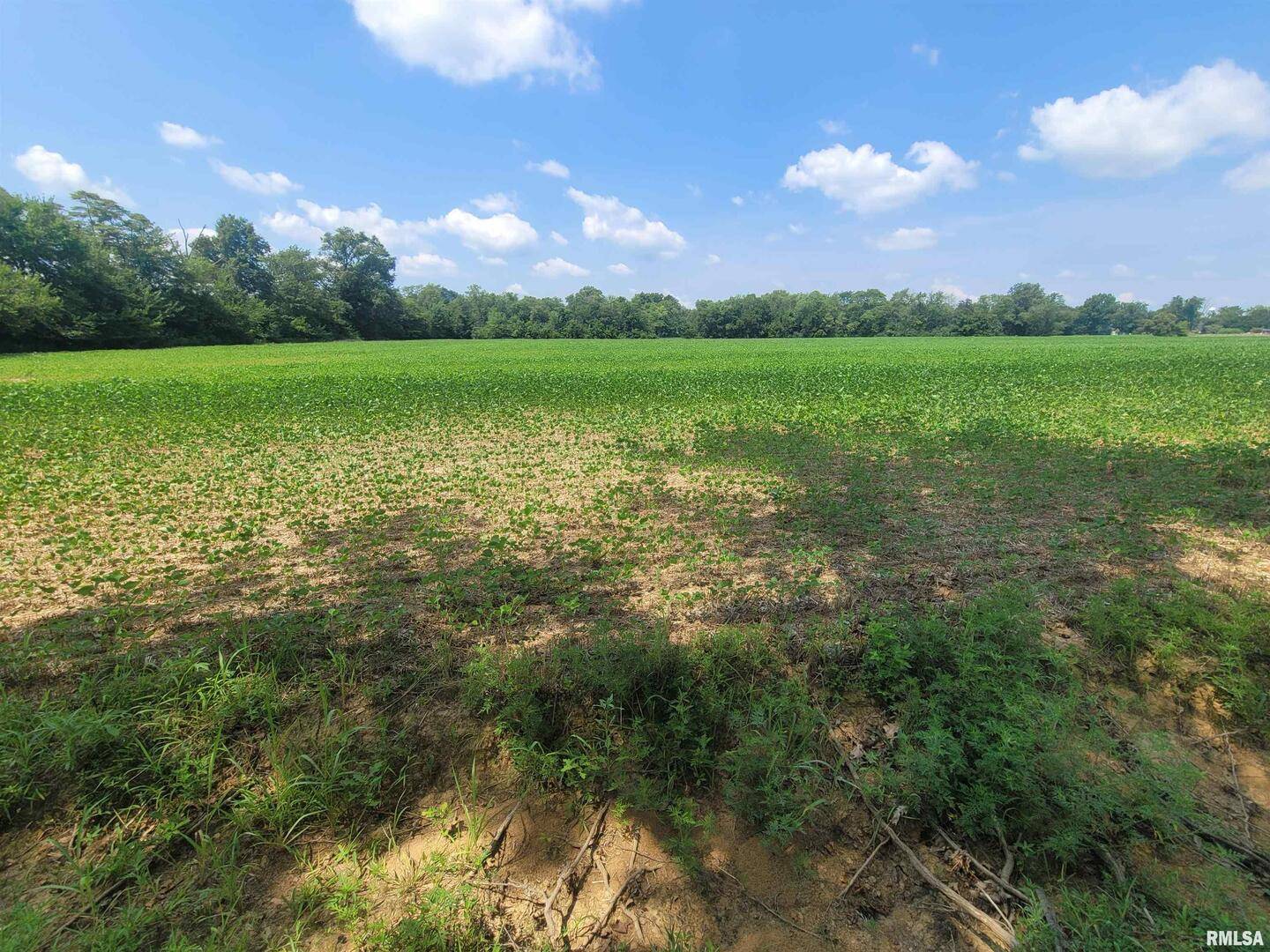 000 JACOB ST, Dahlgren, IL 62828