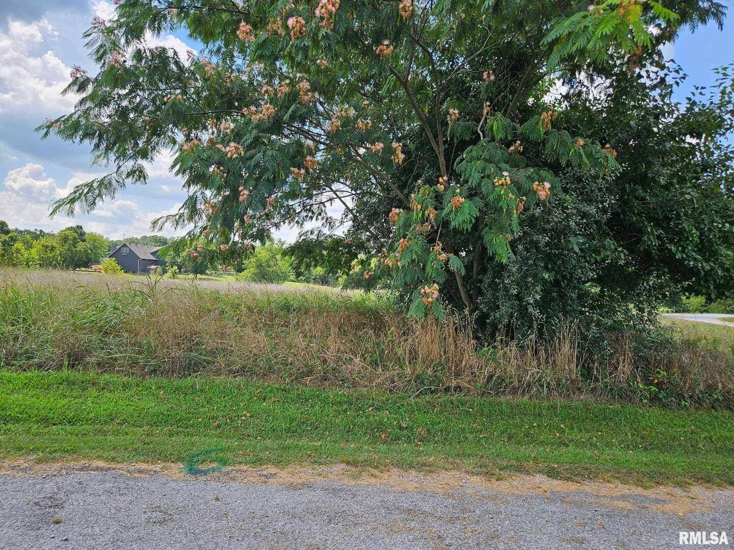 000 Jenna LN, West Frankfort, IL 62896