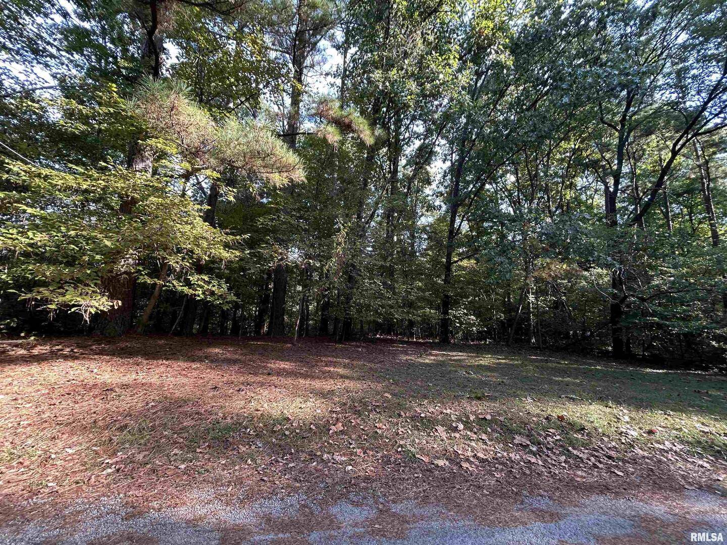 Lot 6 May Apple LN, Carbondale, IL 62903