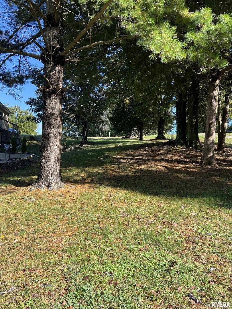 000 Egypt Shores RD, Creal Springs, IL 62922