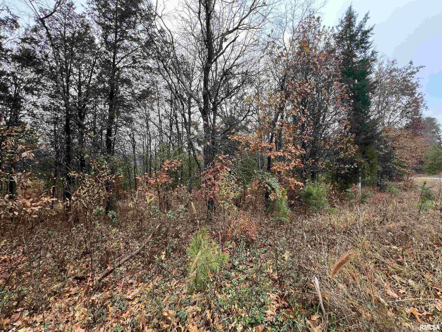Lot 157 Parrish Ridge LN, Goreville, IL 62939