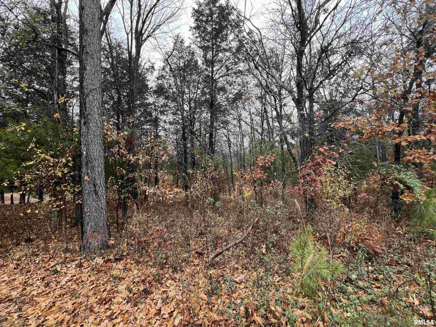 Lot 157 Parrish Ridge LN, Goreville, IL 62939