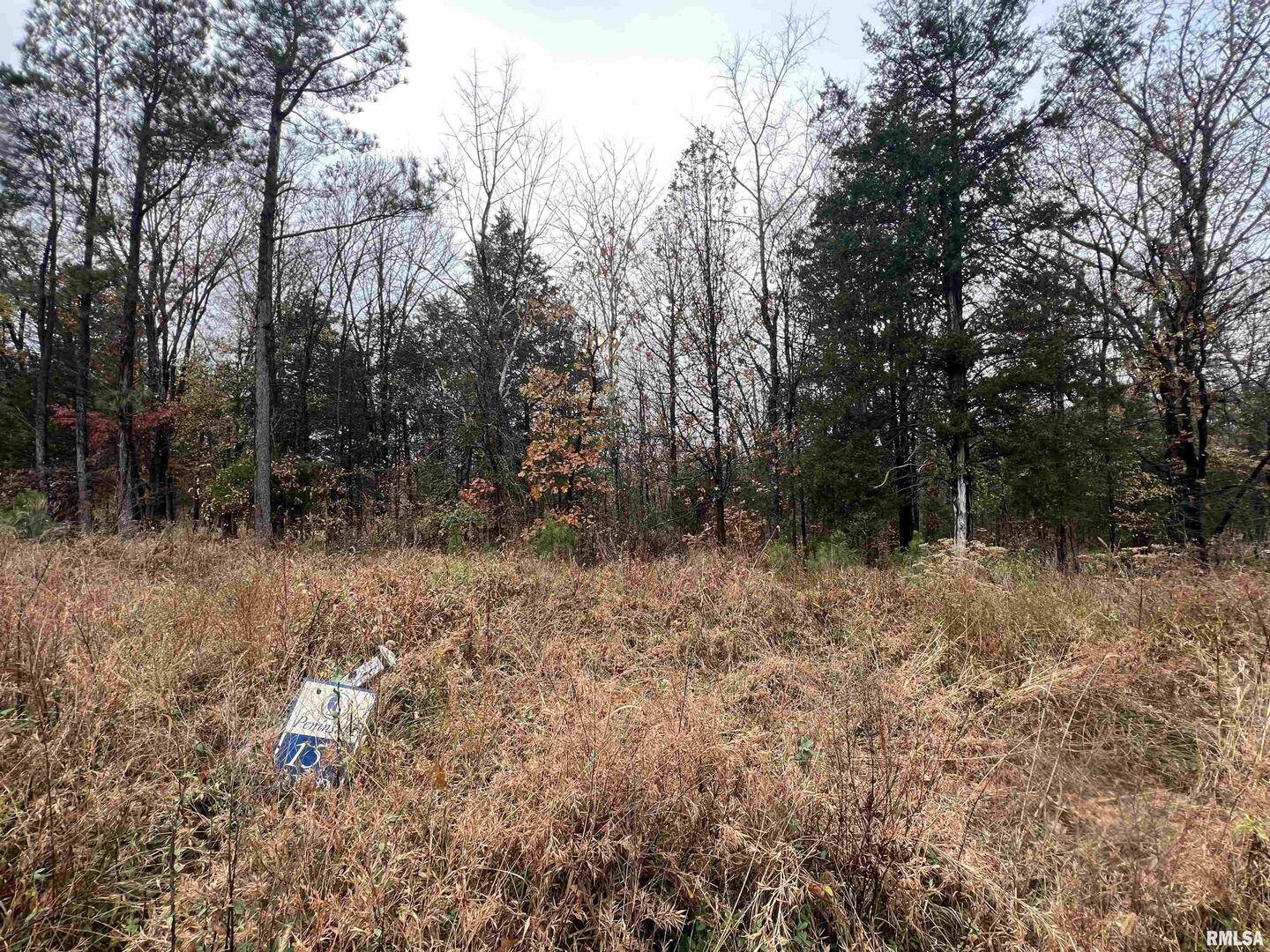 Lot 157 Parrish Ridge LN, Goreville, IL 62939