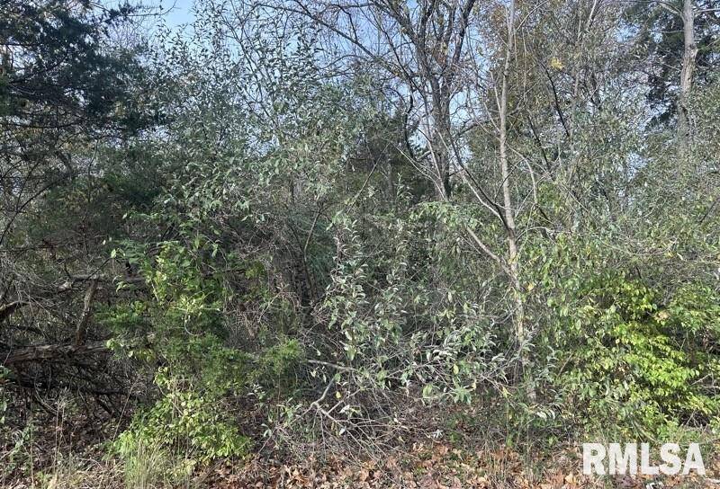 Lot 177 SYCAMORE ST, Goreville, IL 62939