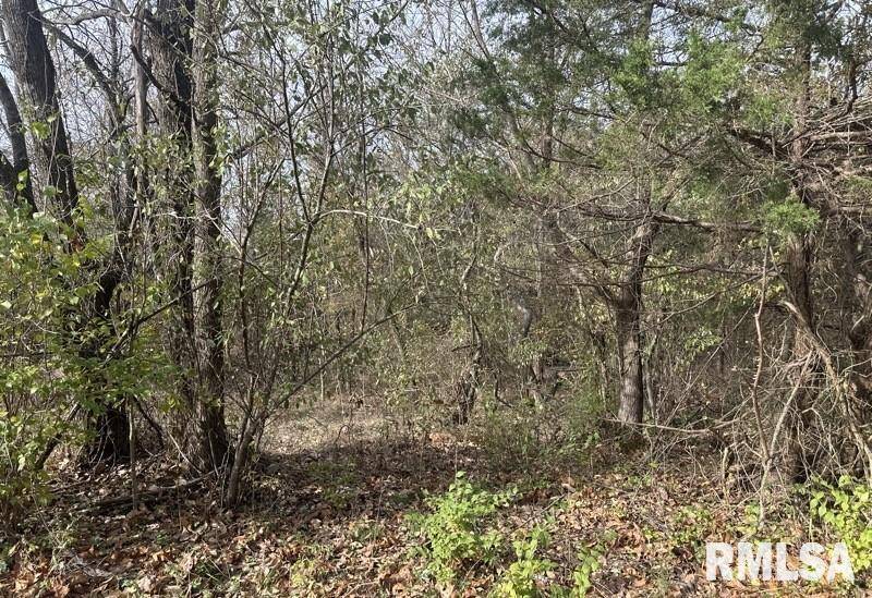 Lot 177 SYCAMORE ST, Goreville, IL 62939