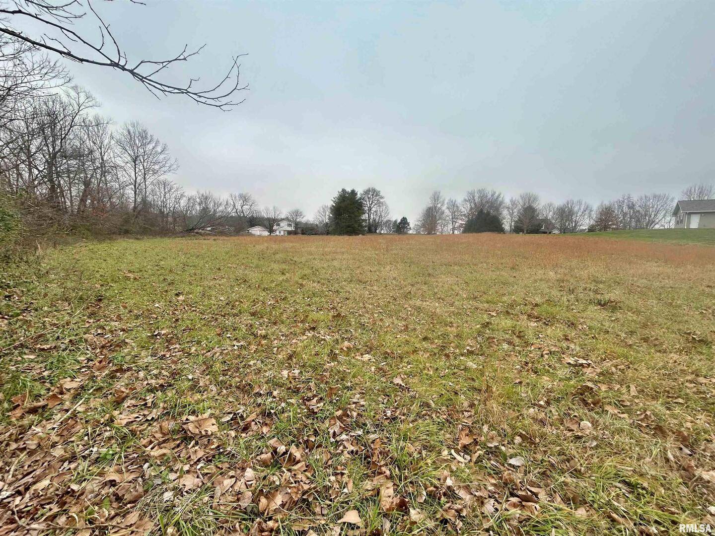 Sub #2 Lot 19 Cypress Valley LN, Vienna, IL 62995