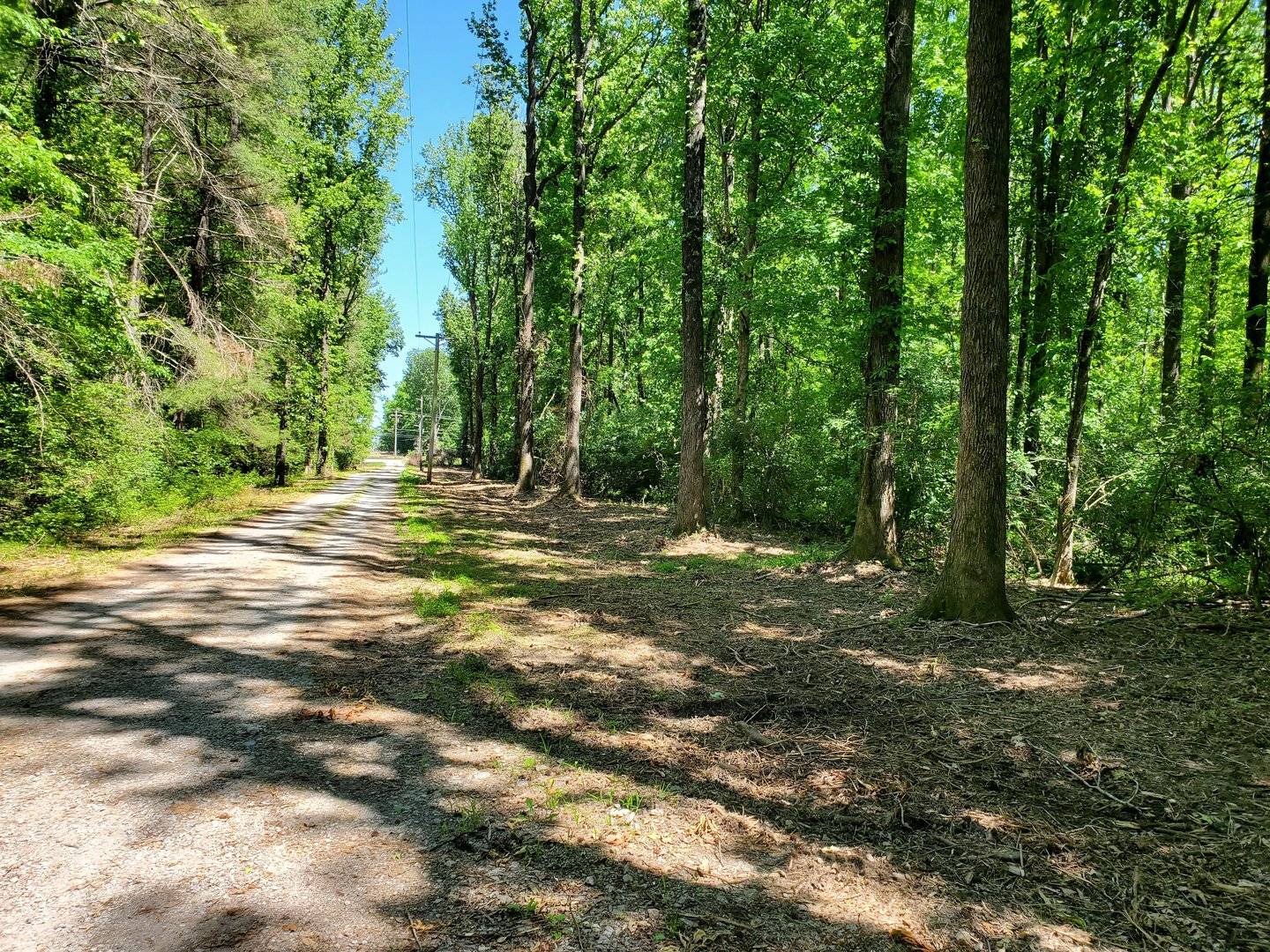 000 DELAWARE RD, Carbondale, IL 62901