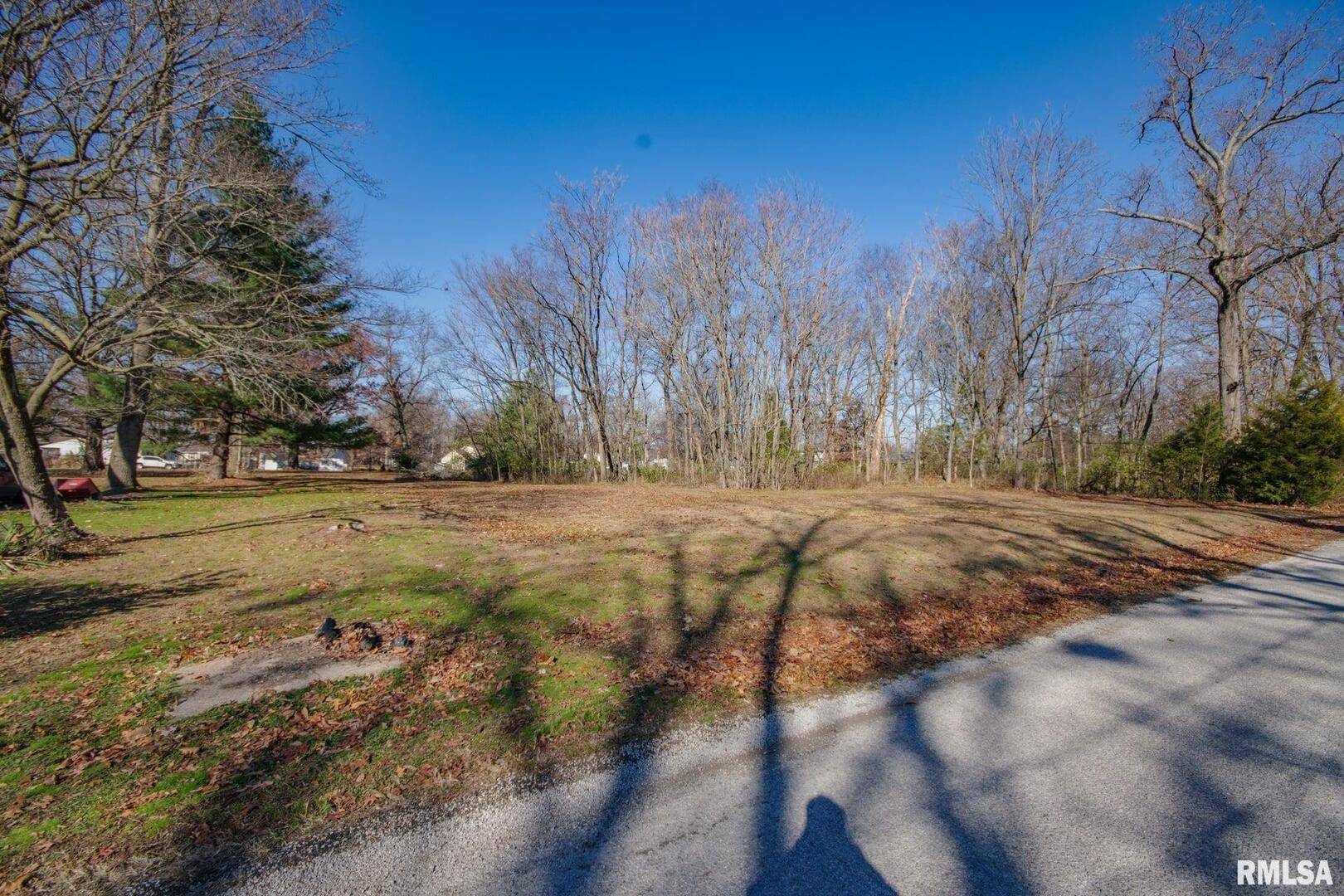 Lots OAK PARK RD, Salem, IL 62881