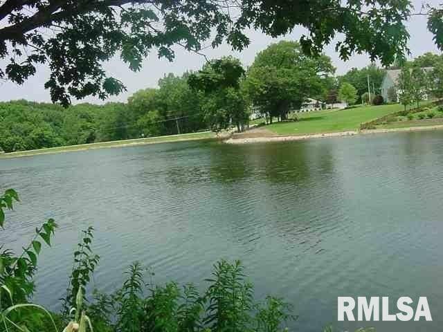 100 RUSTIC LAKE CT, Colona, IL 61241