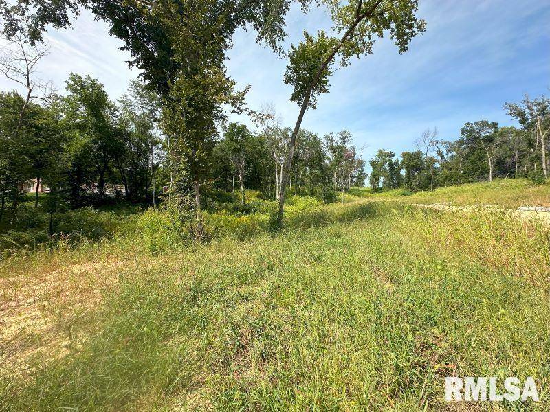 Lot 1 225TH ST, De Witt, IA 52742