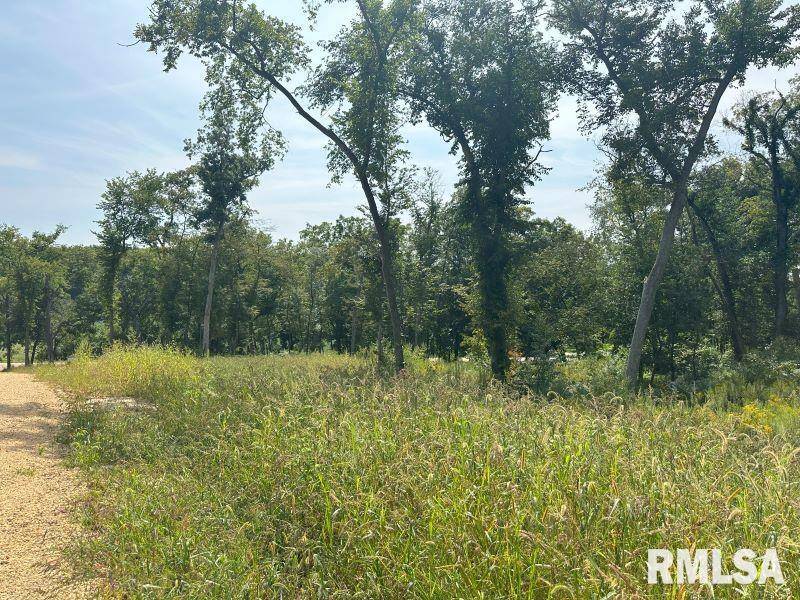 Lot 1 225TH ST, De Witt, IA 52742
