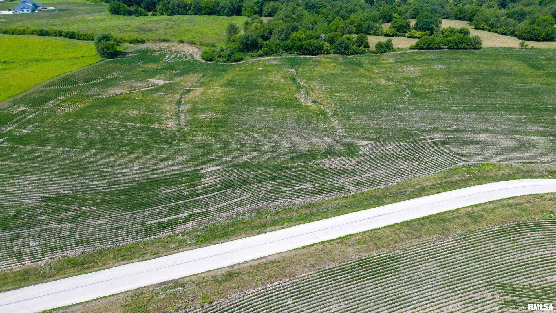 2320 Olof Krans AVE, Galva, IL 61434