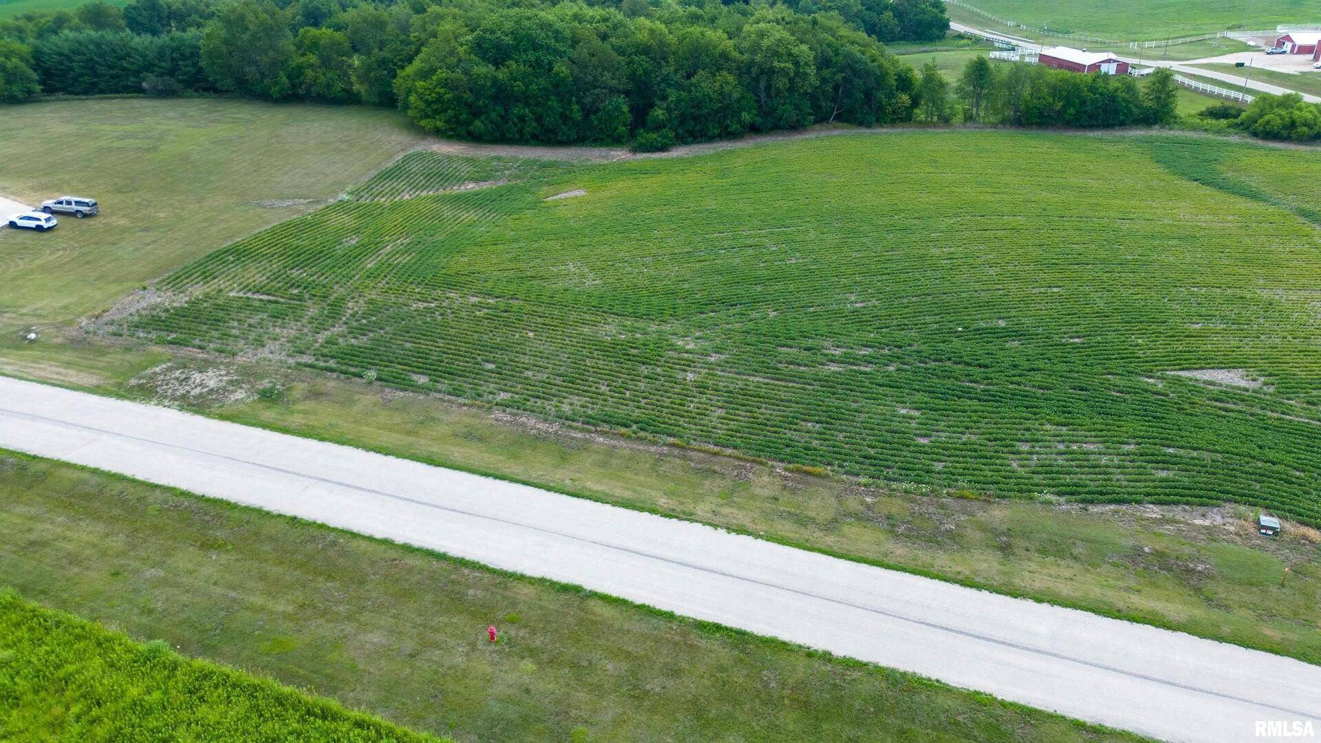 2103 Olof Krans AVE, Galva, IL 61434