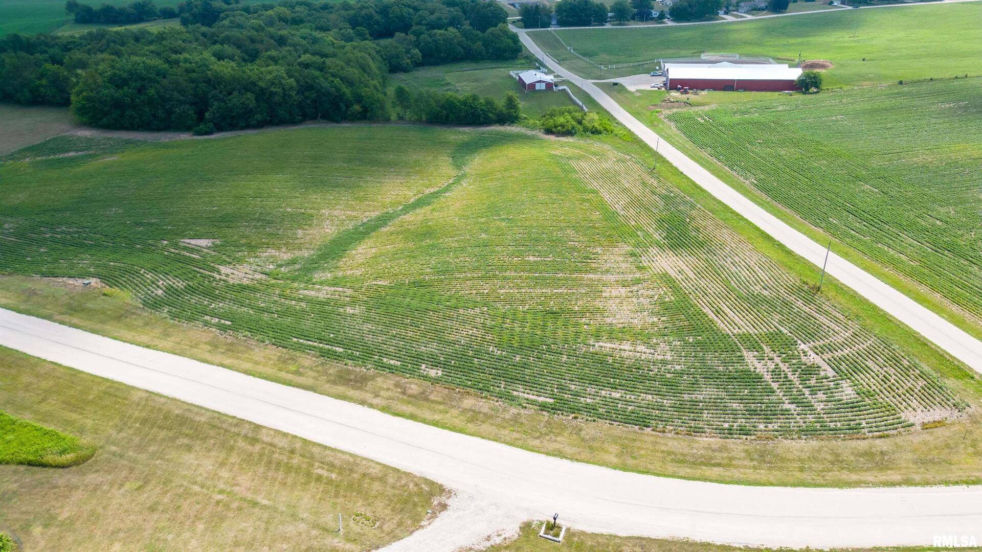 2001 Olof Krans AVE, Galva, IL 61434