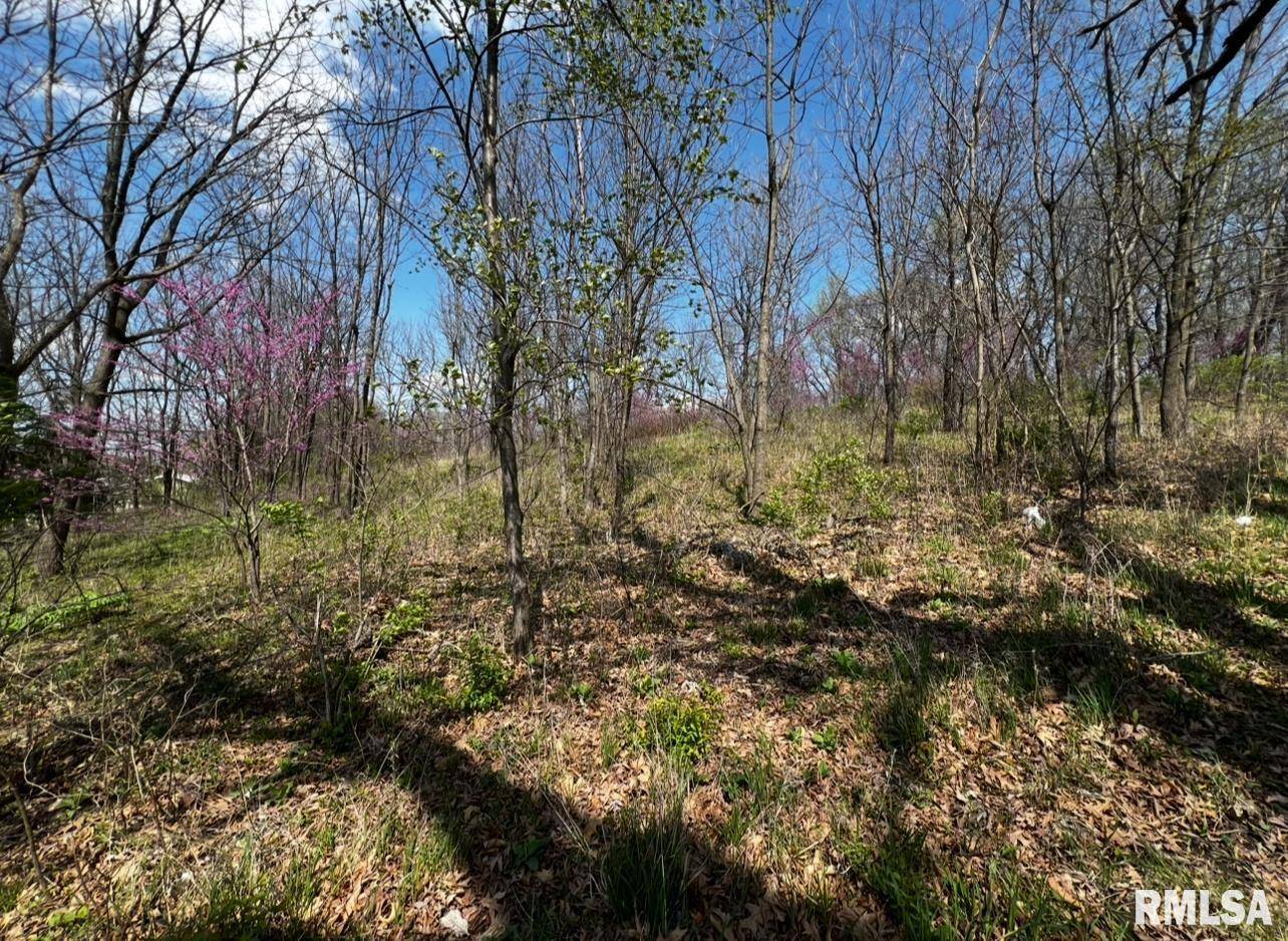 LOT 201 JAMES ST, Port Byron, IL 61256