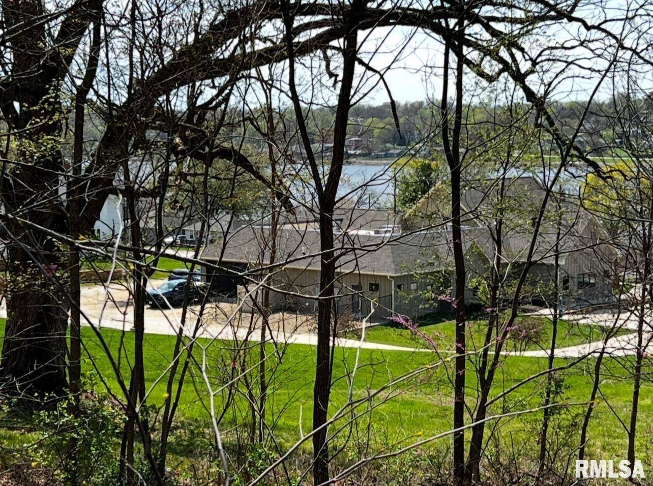 LOT 201 JAMES ST, Port Byron, IL 61256