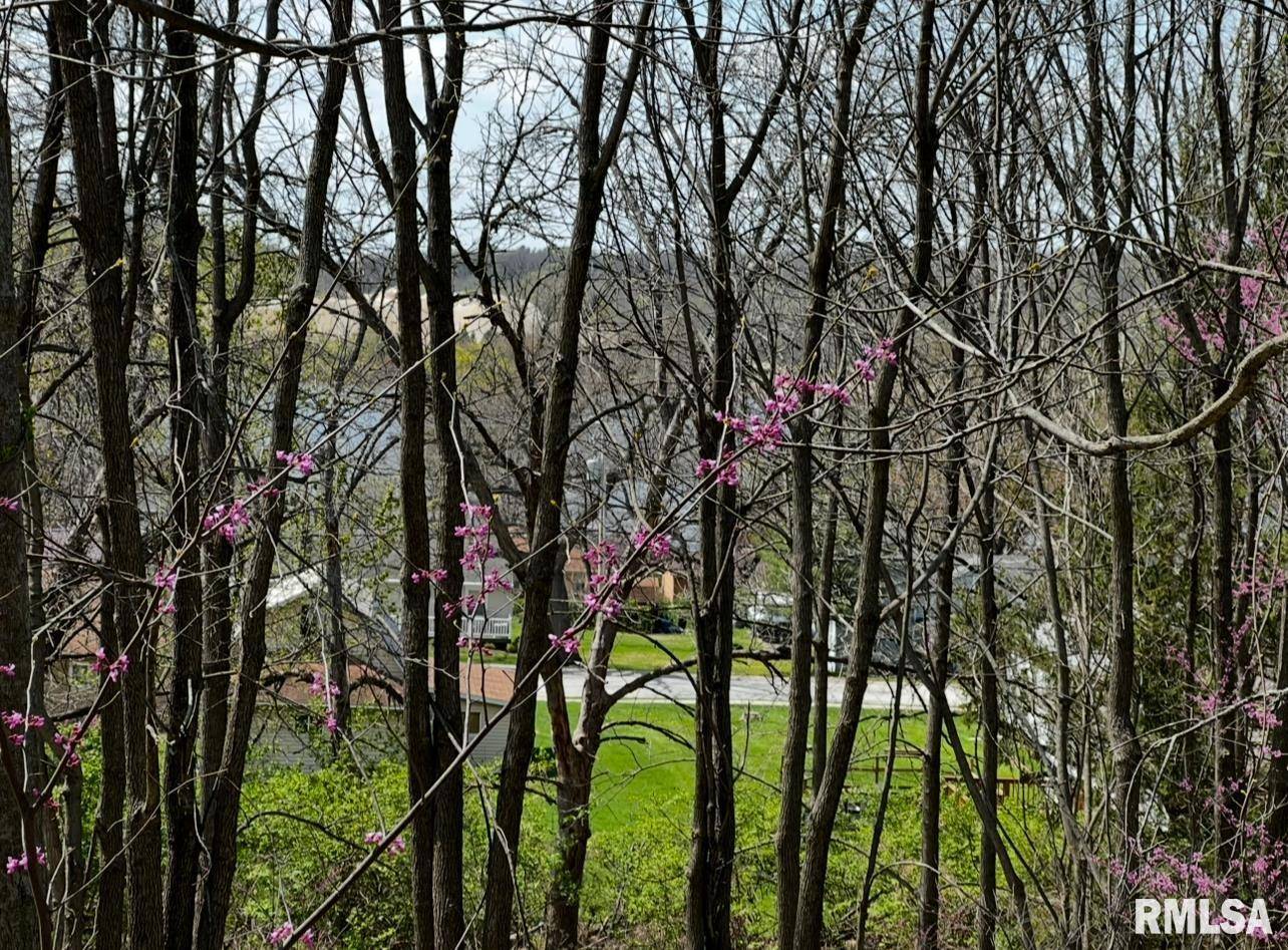 LOT 201 JAMES ST, Port Byron, IL 61256