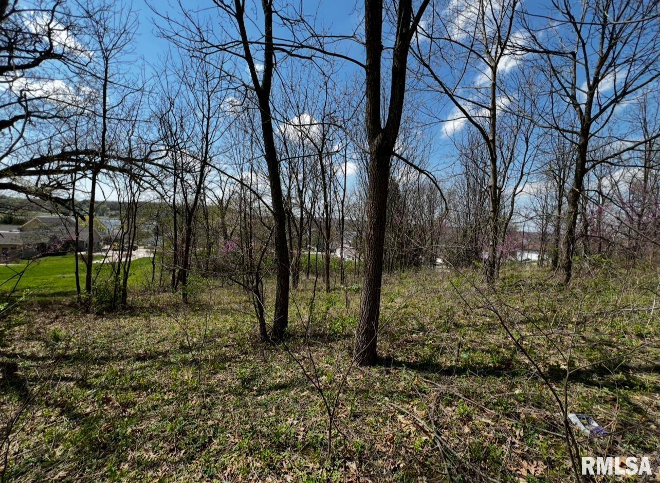 LOT 201 JAMES ST, Port Byron, IL 61256
