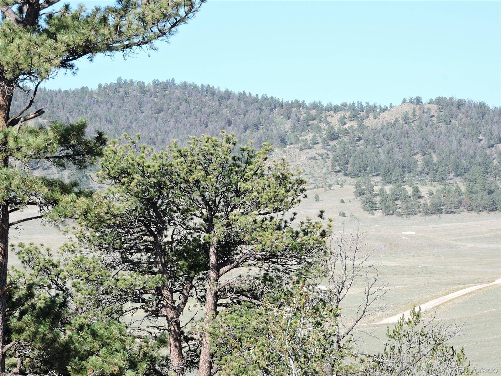640 Arapaho TRL, Hartsel, CO 80449